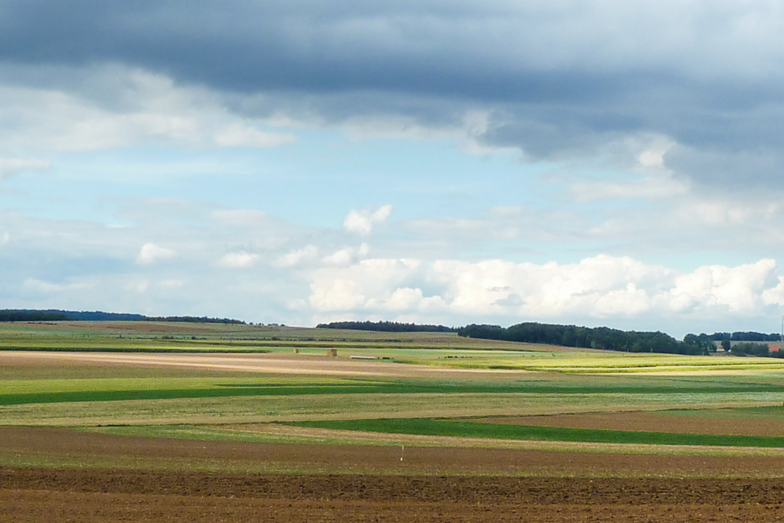Sanfte Ackerflächen im Waldviertel unter Wolken